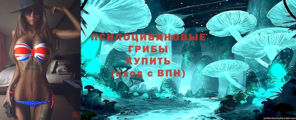 бутират Нестеровская