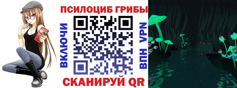 Псилоцибиновые грибы Cubensis  площадка официальный сайт  Городище  где можно купить  